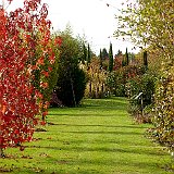 chemin vers le jardin contemporain.jpg